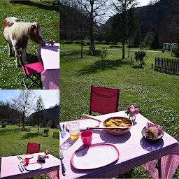 Photo n°83 de Camping de la Forêt - Lourdes à Lourdes ()