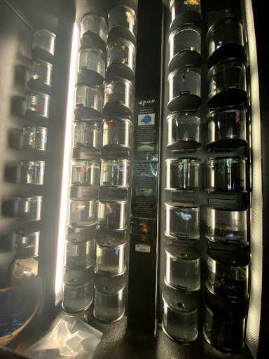 Tropical Fish Store «Picasso Exotic Aquatics», reviews and photos, 11560 Ash St, Leawood, KS 66211, USA