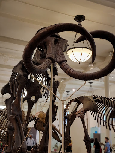 Shopping Mall «Dartmouth Mall», reviews and photos, 200 N Dartmouth Mall, Dartmouth, MA 02747, USA