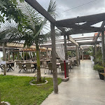 Photo n°1 de l'avis de Sm.o fait le 16/03/2024 à 18:57 sur le  Restaurante Alxama à Quarteira