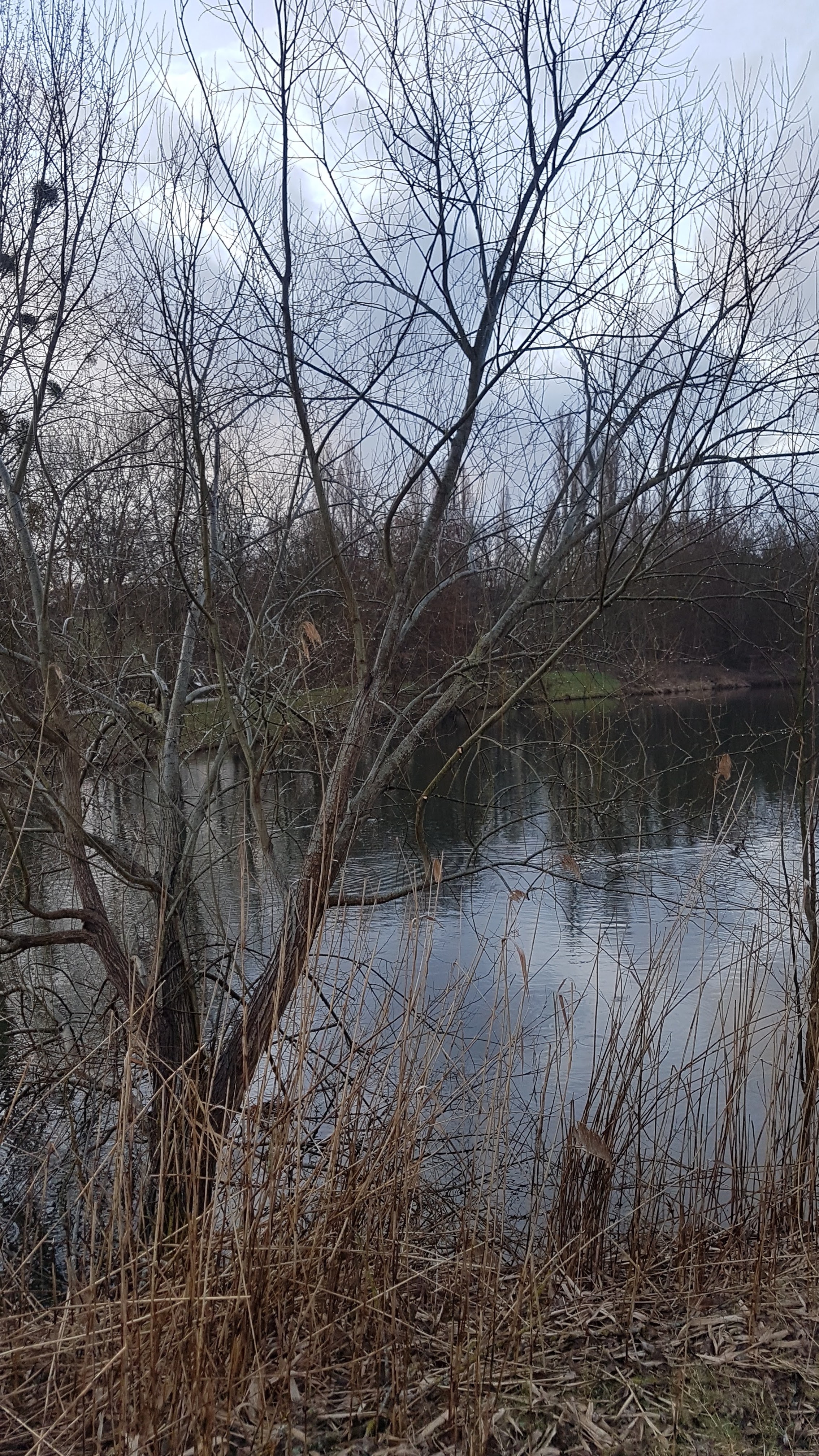 Photo n° 13 de l'avis de Jean-marie.o fait le 06/03/2019 à 12:51