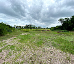 Y.Farmily The organic coconut farm photo