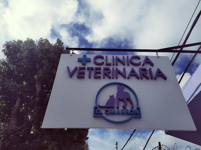 Opiniones de Veterinaria El Cimarrón en Maldonado - Veterinario