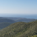 Photo n°5 de l'avis de Domenico.i fait le 20/02/2021 à 17:08 sur le  L'oasi del cervo à Arbus