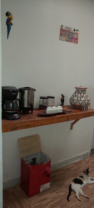 La Jangada Hostel & Tours - photo 1