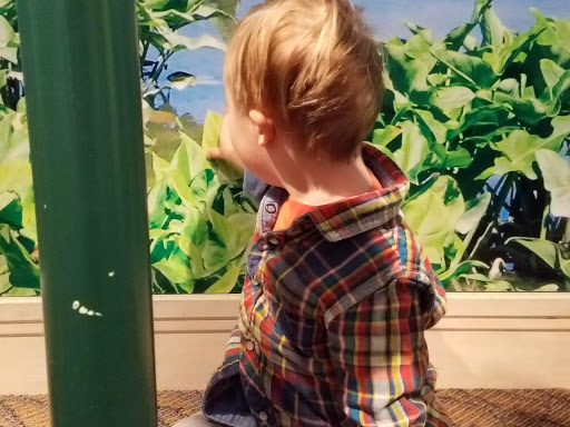 Nature Preserve «Benjamin Olewine III Nature Center», reviews and photos, 100 Wildwood Way, Harrisburg, PA 17110, USA