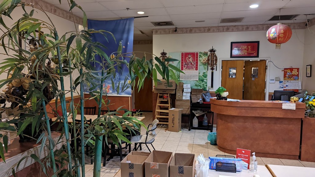 Magic China cafe 32825