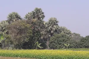 Satyajit Park, Ramchandrapur, Sodepur, Kolkata image
