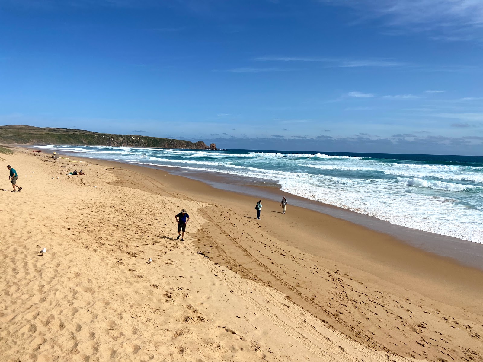 Foto von Woolamai Surf Beach mit beiger sand Oberfläche