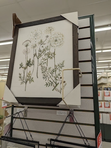 Craft Store «Hobby Lobby», reviews and photos, 1901 Shady Brook St, Columbia, TN 38401, USA