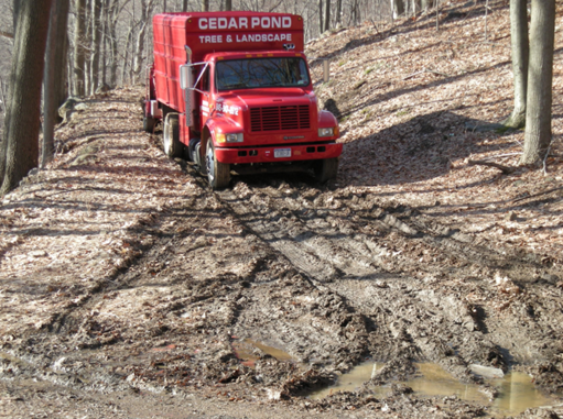 Cedar Pond Tree and Crane Service image 2