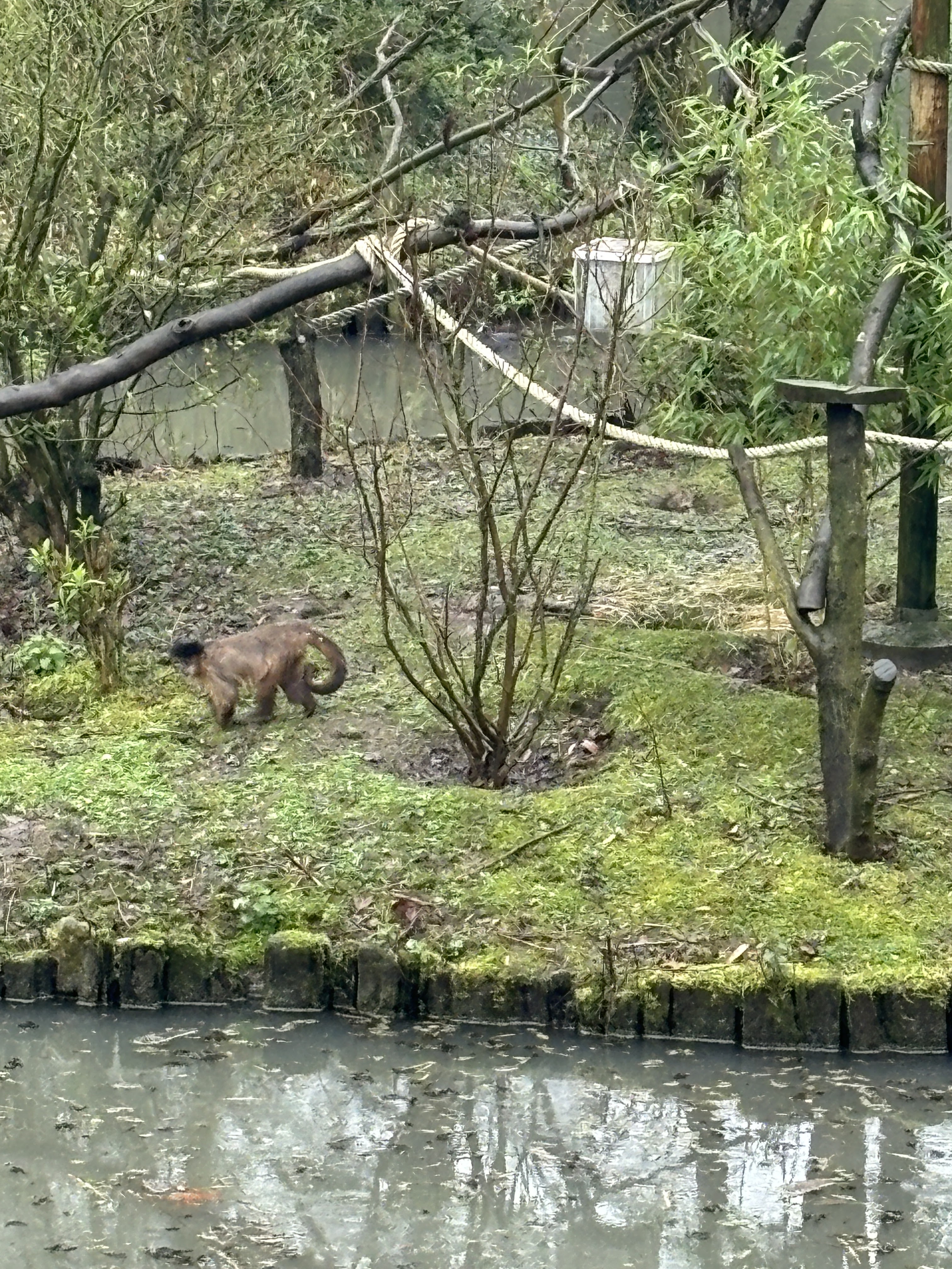 Photo n° 6 de l'avis de Eihposy. fait le 03/03/2024 à 20:54