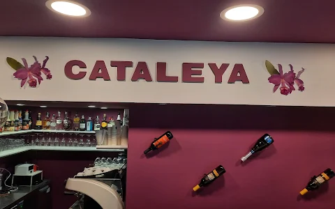 Bar Cataleya image
