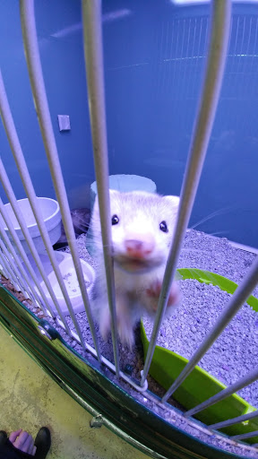 Pet Supply Store «Atlas Pet Supply», reviews and photos, 1798 Market Dr, Stillwater, MN 55082, USA