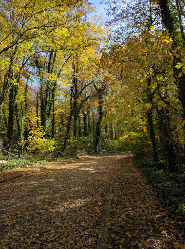 National Park «Fort Hunt Park», reviews and photos, 8999 Fort Hunt Rd, Alexandria, VA 22308, USA