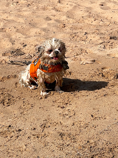 Pet Supply Store «Petz Love», reviews and photos, 9231 Lincoln Ave #200, Lone Tree, CO 80124, USA