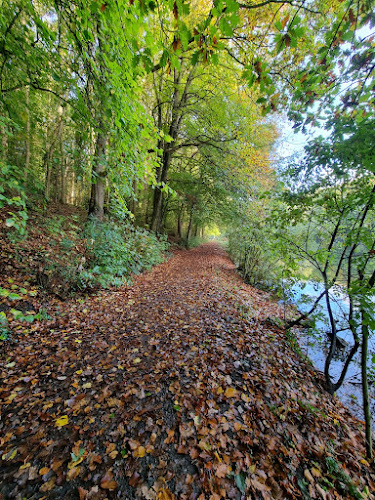 Moss Valley Country Park - Wrexham