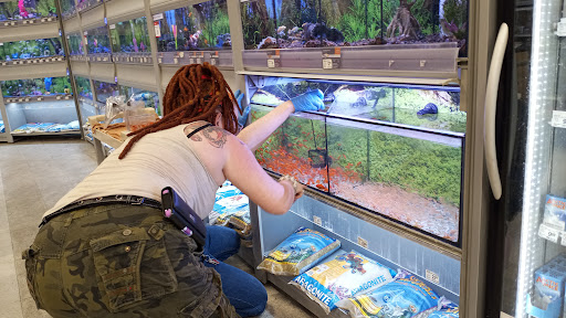 Pet Supply Store «PetSmart», reviews and photos, 1321 W Craig Rd, North Las Vegas, NV 89032, USA