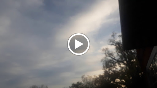 Florist «Encore Florals & Gifts», reviews and photos, 225 Kingston St, Conway, SC 29526, USA