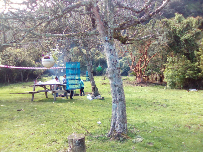 Opiniones de Camping Quechol Isla Mocha en Talcahuano - Camping
