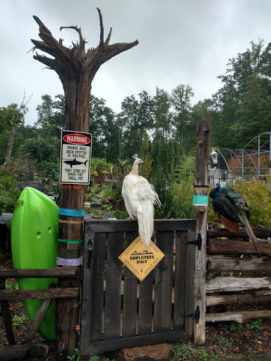 Pet Store «Ponds & Plants», reviews and photos