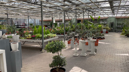 Ardoplant Meulebeeksestraat 34, 8850 Ardooie, Belgique