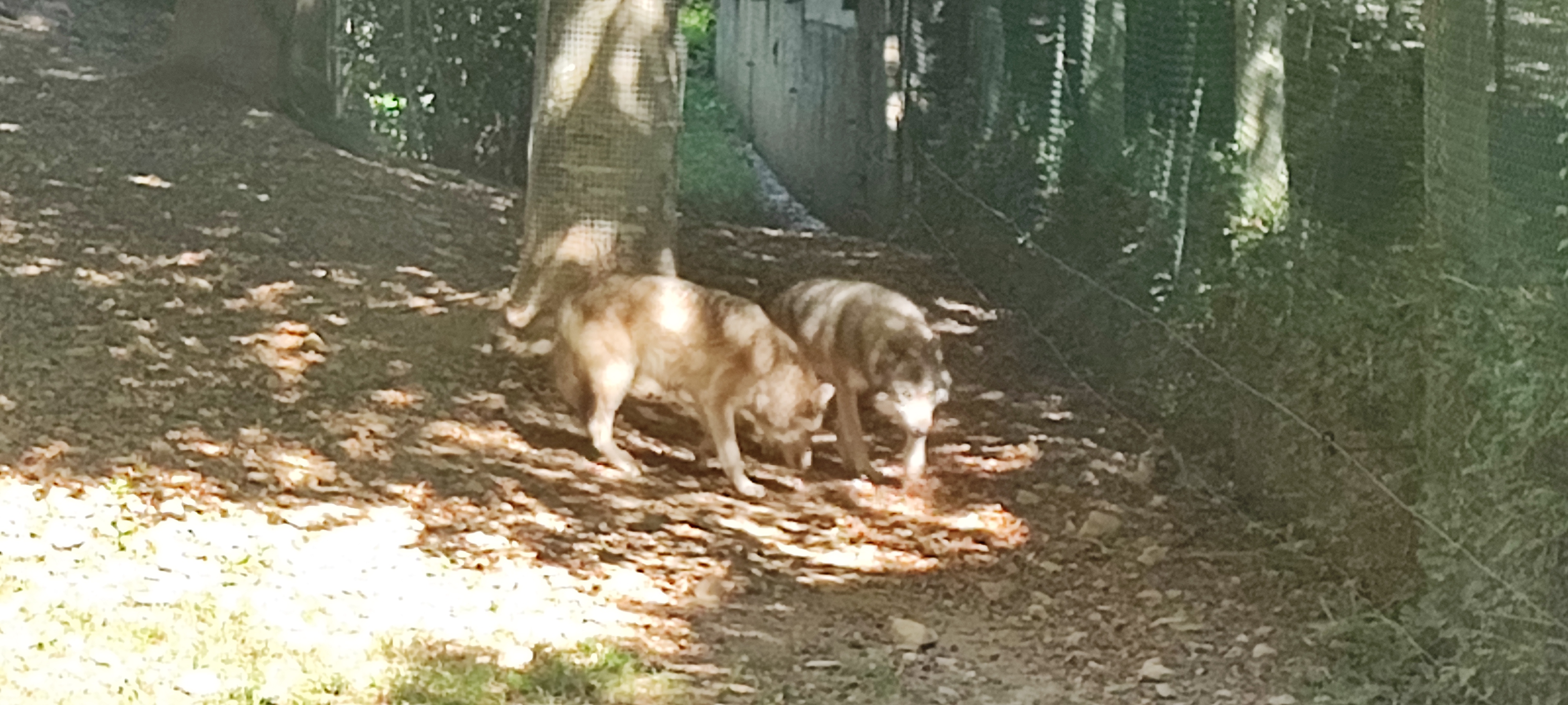 Photo n° 12 de l'avis de Thierry.i fait le 28/09/2023 à 17:40