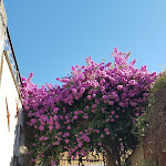 Photo n°1 de l'avis de Pamela.o fait le 03/08/2020 à 06:35 sur le  Cantina & Agriturismo Turco à Quiliano