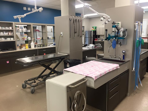 Day & Evening Pet Hospital & Surgical Center, A Thrive Pet Healthcare Partner