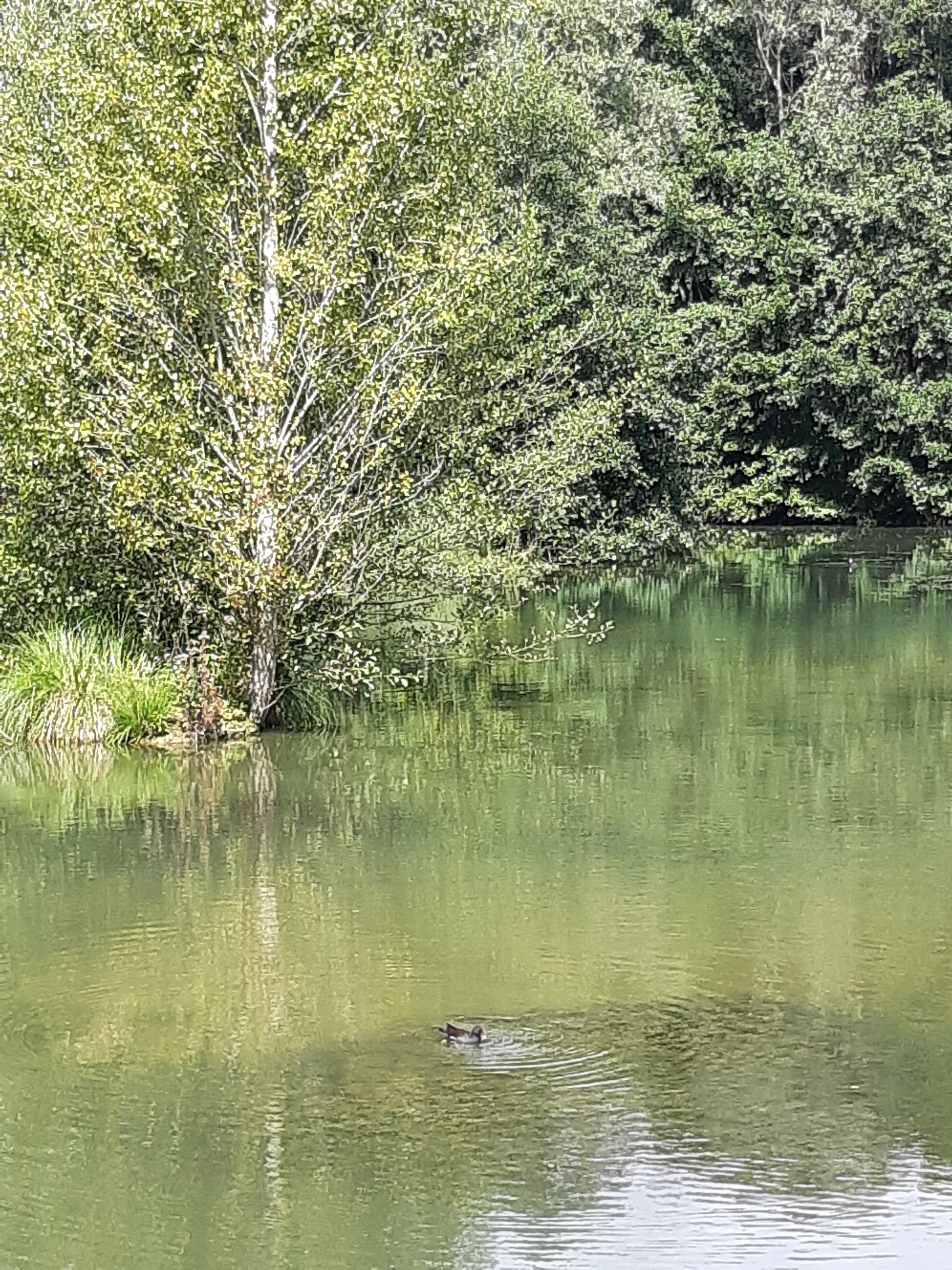 Photo n° 27 de l'avis de Tina.. fait le 08/09/2019 à 11:30
