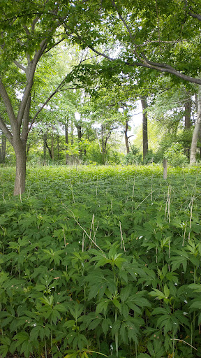 Park «Lake Front Park», reviews and photos, 23000 Jefferson Ave, St Clair Shores, MI 48080, USA