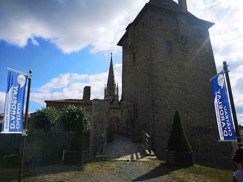attractions Château d'Ardelay Les Herbiers