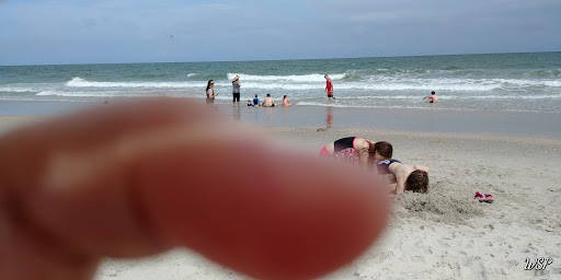 State Park «Myrtle Beach State Park», reviews and photos, 4401 S Kings Hwy, Myrtle Beach, SC 29575, USA