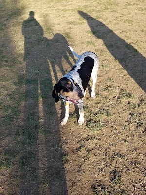Scout Dog Park - photo 41