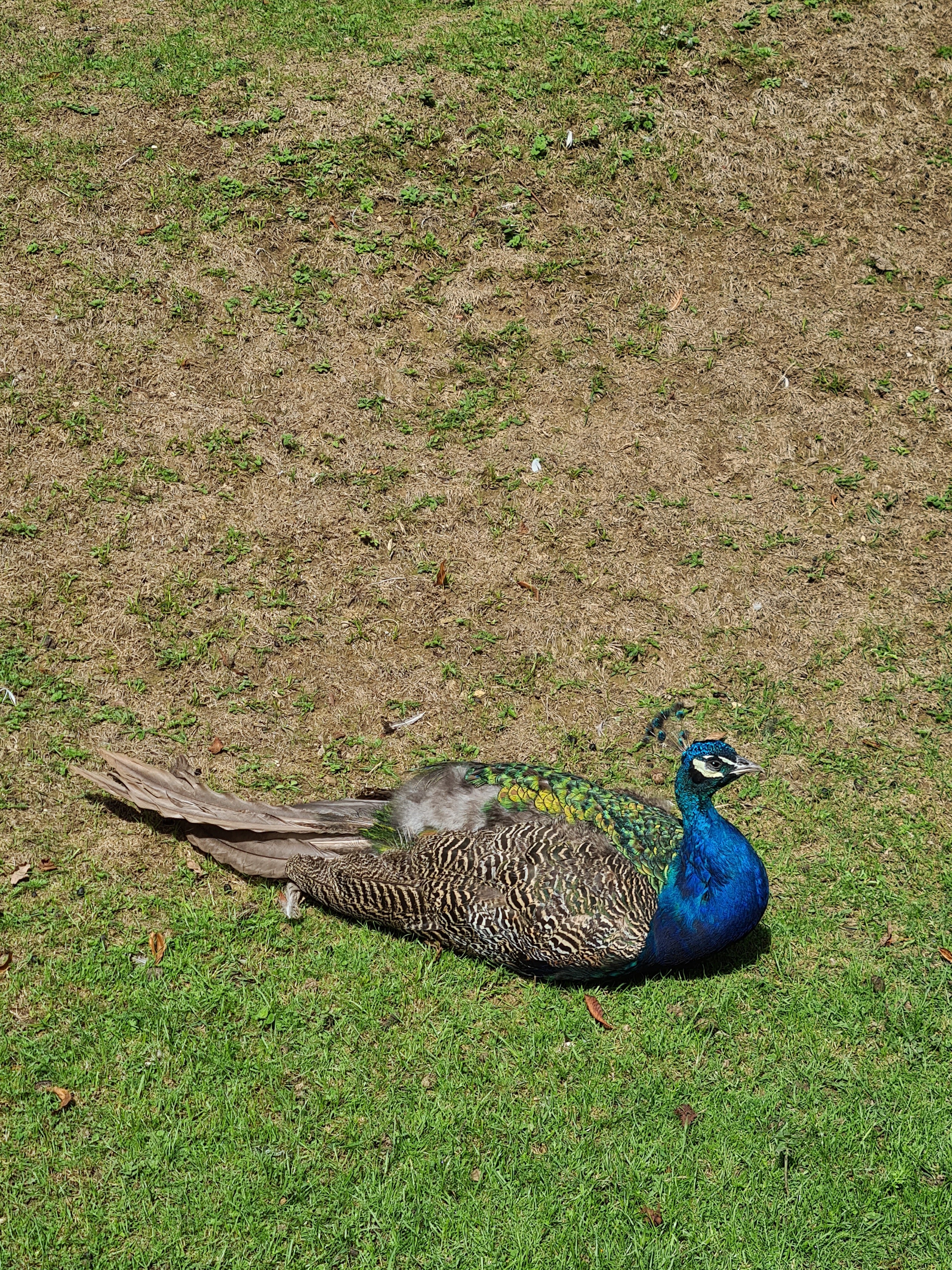 Photo n° 2 de l'avis de patricia.a fait le 21/09/2022 à 08:03