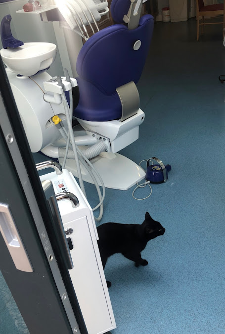 Dr Patrick OBrien - Dr Patrick OBrien