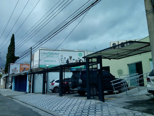 Clínica Cães e Gatos Taubaté em Taubaté - SP