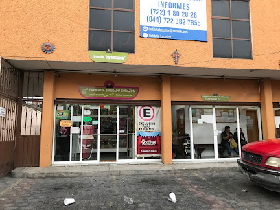 Farmacia Sagrado Corazon Calle Ignacio Allende 87, Santa Cruz, 52140 Metepec, Méx. Mexico