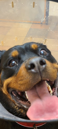 Pet Supply Store «PetSmart», reviews and photos, 315 W Rte 70, Marlton, NJ 08053, USA