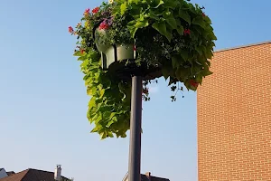 Café de la Mairie image