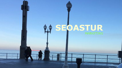Información y opiniones sobre Seoastur Marketing SL de Gijón