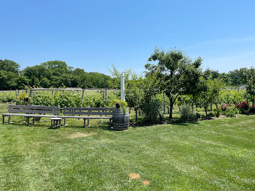 Winery «Turdo Vineyards», reviews and photos, 3911 Bayshore Rd, Cape May, NJ 08204, USA
