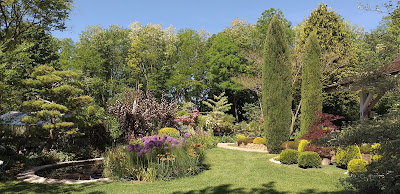 Jardin des vieilles vignes à Valay