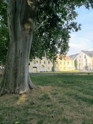 Opinii despre Busz Parkoló în Sopron - Parkoló