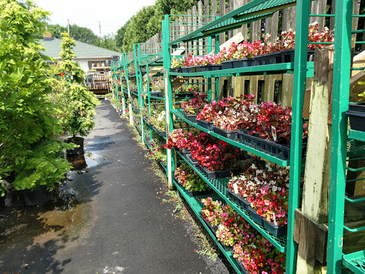 Garden Center «Royal Victorian Garden Center», reviews and photos, 10911 State Rd, Cleveland, OH 44133, USA