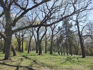 Hoyt Park - photo 21