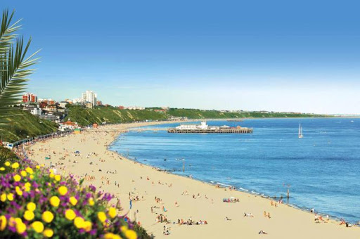 Bournemouth Language Tuition - French and English