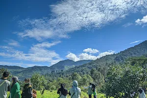 Gunung Mas image