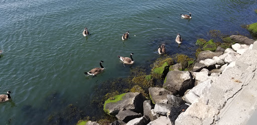 Park «Bush Terminal Piers Park», reviews and photos, Marginal St. & 43rd Street, Brooklyn, NY 11232, USA