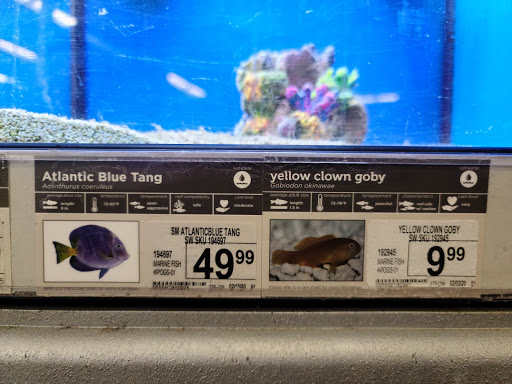 Pet Supply Store «Petco Animal Supplies», reviews and photos, 1704 US Hwy 27 S, Sebring, FL 33870, USA